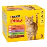 Friskies s kuřetem hovězím jehněčím kachnou ve šťávě 24 x 85 g – Sleviste.cz