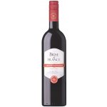Brise de France Cabernet Sauvignon suché francouzské červené 12,5% 0,75 l (holá láhev) – Hledejceny.cz