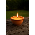 Emocio Citronella v terakotovém květináči 123 g – Zbozi.Blesk.cz