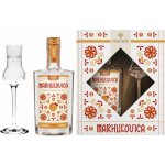 Marsen Marhulovica Traditional 42% 0,7 l (holá láhev) – Sleviste.cz