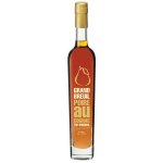 Grand Breuil Poire au Cognac 38% 0,5 l (holá láhev) – Sleviste.cz
