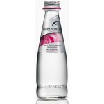 San Benedetto sklo neperlivá 250 ml – Hledejceny.cz
