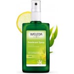 Weleda Citrus deospray 100 ml – Hledejceny.cz