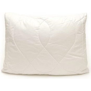 Brotex Polštář Aloe Vera 900g zip kuličky standard 70x90