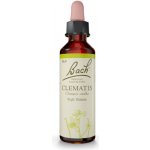 Bachovy květové esence Bílá lesní réva 20 ml – Hledejceny.cz