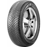 Michelin Pilot Alpin 5 225/50 R17 98H – Hledejceny.cz