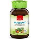 P. Jentschura WurzelKraft omnimolekulární BIO potravina 300 g – Hledejceny.cz