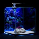 Diversa Nano set Neo light Marine 30 l – Hledejceny.cz