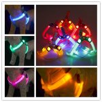 Reedog svíticí kšíry pro psy a kočky – Zboží Dáma