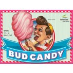 Advanced Nutrients Bud Candy 250 ml – Zboží Mobilmania