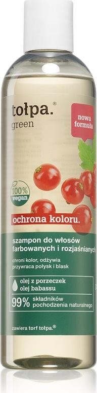 Tołpa Green Color Protect Shampoo 300 ml