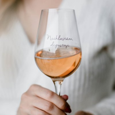Bella Rose Sklenice na víno Nechlastám degustuji čirá barva sklo 350 ml – Zboží Dáma