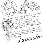 Cadence Šablona Cadence 25x25 cm Levandulové psaní – Hledejceny.cz
