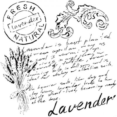 Cadence Šablona Cadence 25x25 cm Levandulové psaní – Hledejceny.cz