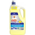 Mr. Proper Profesionál univerzální citronový čistič Lemon 5 l – Hledejceny.cz