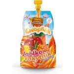 Ovocňák Mošt Jablko meruňka 250 ml – Zboží Dáma
