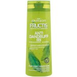 Garnier Fructis Antidandruff Shampoo 2in1 250 ml – Hledejceny.cz