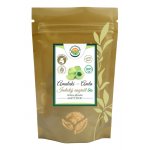 Salvia Paradise Amalaki prášek BIO 100 g – Hledejceny.cz