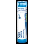 KALIUM IODATUM POR 9CH GRA 1X4G – Hledejceny.cz