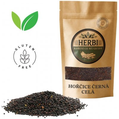 Herbi Hořčice žlutá celá 100 g – Zboží Dáma
