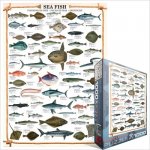 EuroGraphics Mořské ryby 1000 dílků – Zboží Mobilmania