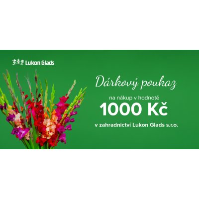 Elektronický dárkový poukaz 1.000 Kč – Hledejceny.cz