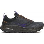 Saucony S10951-50 RIDE TR2 carbon/black – Hledejceny.cz