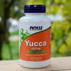 Doplněk stravy Now Foods YUCCA 500 mg 100 kapslí