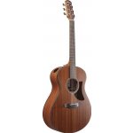 Ibanez AAM54 – Zboží Dáma Ibanez AAM54 – Zboží Dáma
