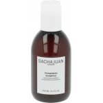 Sachajuan Thickening Shampoo 250 ml – Zbozi.Blesk.cz