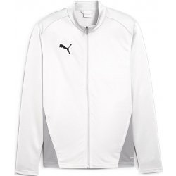 Puma teamGOAL Training Jacket Jr 658634-04