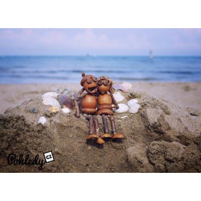 Pohlednice Dubánčí pozdrav z dovolené – Hledejceny.cz