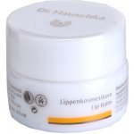 Dr, Hauschka Lip Balm 4,5 ml – Zboží Dáma