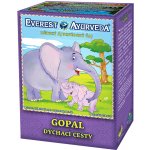 Everest Ayurveda GOPAL při nachlazení 100 g – Sleviste.cz