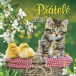 Přátelé nástěnný 33 x 33 cm 2026 – Zboží Mobilmania