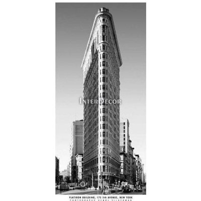 Flatiron Building 1 deska 50x100