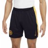 Nike INTER M NK DF SHORT STAD 3R 2024/25