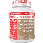 GIOM ERA Chondro L-karnitin 400 g – Hledejceny.cz