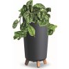 Květináč a truhlík botle Květináč s nožičkami Hoh Tube Planter 24 cm Plastové matné antracitové květináče Money Tree Kaktusy Gumovník Lucky Feather