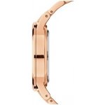 Daniel Wellington DW00100343 – Hledejceny.cz