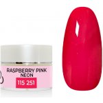 Expa nails expanails uv led gel barevný raspberry pink neon 5 g – Zboží Mobilmania