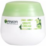 Garnier Skin Naturals Botanical Creme s výtažky z hroznů 50 ml – Zbozi.Blesk.cz