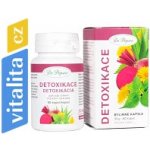 Dr. Popov Detoxikace bylina + extrakt 60 kapslí – Hledejceny.cz