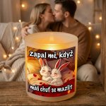 Ahome CZ Originální skleněný svícen Zapal mě, když máš chuť se mazlit – Sleviste.cz