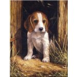 Malování podle čísel Štěně Bígl – Zbozi.Blesk.cz
