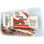 Sunfood Lotus kořen sušený 20 g – Hledejceny.cz