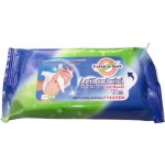 Kardesler ubrousky vlhčené antibakteriální na ruce 15 ks – Zboží Dáma