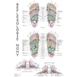 Reflexologie nohy - plakát