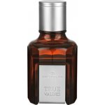 Tom Tailor True Values toaletní voda pánská 50 ml – Hledejceny.cz