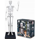 BUKI Obří lidská kostra 85cm – Zboží Dáma